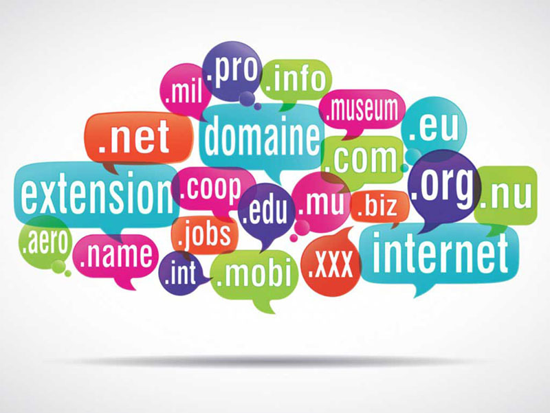 thành phần cơ bản của website