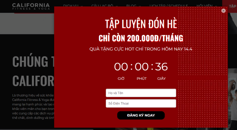 thiết kế website phòng tập gym